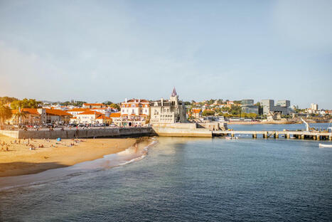 PORTUGAL : Creation of protected maritime area in conversation  | CIHEAM Press Review | Scoop.it