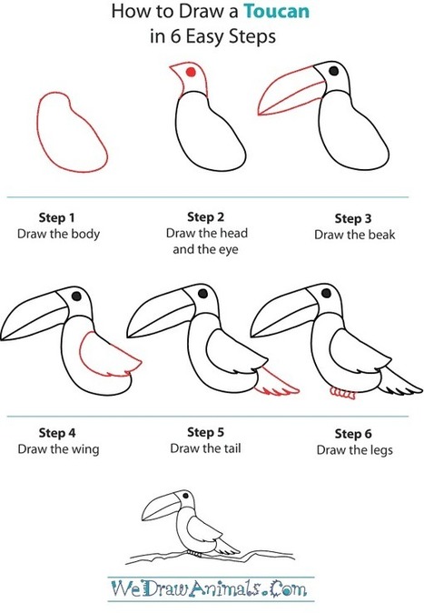 How to Draw a Toucan in 6 Easy Steps | Drawing and Painting Tutorials | Scoop.it