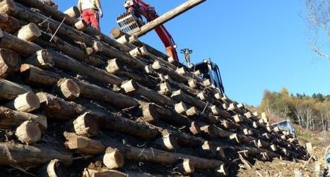 Saint-Lary : un ouvrage de g&eacute;nie v&eacute;g&eacute;tal au soutien de la piste des Bouleaux | Vall&eacute;es d'Aure & Louron - Pyr&eacute;n&eacute;es | Scoop.it