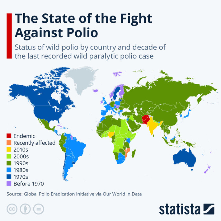 Chart: The State of the Fight Against Polio | Statista | The Health Report | Scoop.it