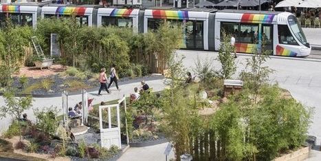 Angers, Nantes et Strasbourg sacrées villes les plus vertes de France | Biodiversité | Scoop.it