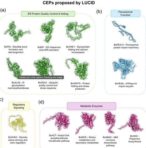 LUCID: An Integrative Approach for Target Discovery and dsRNA Design in Plant Fungal Pathogens | pbj | RMH | Scoop.it