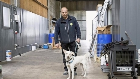 Les punaises de lit passent du cong&eacute;lateur au sauna | Vari&eacute;t&eacute;s entomologiques | Scoop.it