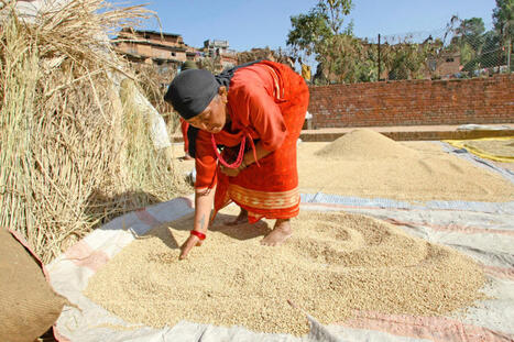 Kansainv&auml;lisen kehitysavun m&auml;&auml;r&auml; laski historiallisen paljon | 1Uutiset - Lukemisen t&auml;hden | Scoop.it