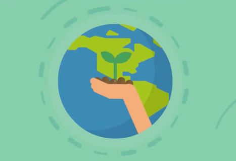 Refoorest : planter des arbres en surfant avec Google, maintenant c&rsquo;est possible | ON-ZeGreen | Scoop.it