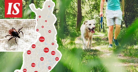 Punkkihavainnot hurjassa kasvussa | 1Uutiset - Lukemisen t&auml;hden | Scoop.it