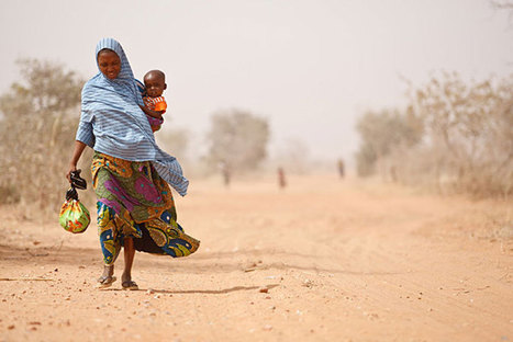 Sahel : la FAO demande un soutien d'urgence pour affronter l'insécurité alimentaire croissante | Questions de développement ... | Scoop.it