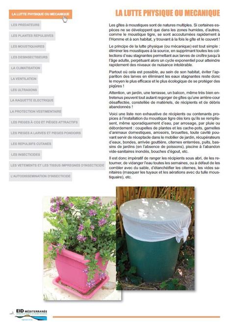 La protection personnelle : Comment se protéger contre les moustiques - EID Méditerranée | Insect Archive | Scoop.it