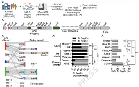 An ubiquitous antibacterial toxin from human gut bacteria engenders neonatal colonization advantage | Ncm | RMH | Scoop.it