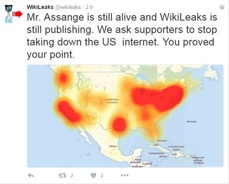 Quand les hackers coupent un brin d'Internet – en rétorsion pour Assange ? | ACTUALITÉ | Scoop.it