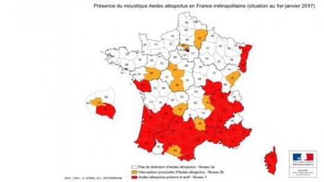 La direction générale de la santé va réactiver le dispositif de lutte contre Aedes Albopictus, très implanté dans la partie sud de la France | EntomoNews | Scoop.it