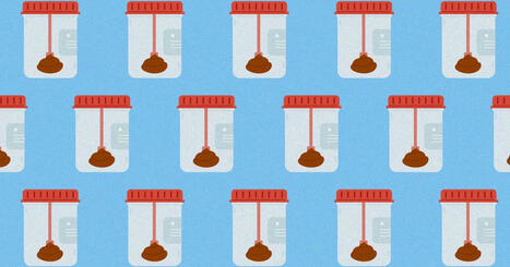 «Un don qui ne coûte rien» : à MetaGenoPolis, le laboratoire qui recueille nos excréments pour la science | Life Sciences Université Paris-Saclay | Scoop.it