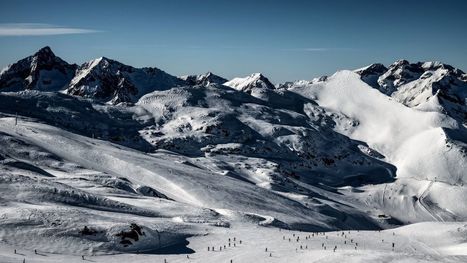Réchauffement climatique : comment les stations de ski des Alpes veulent protéger les espèces en danger | Biodiversité | Scoop.it
