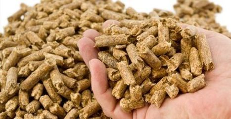 Le stufe a pellet: la mini-guida | Consumo Critico, Decrescita, Riuso e Riciclo Creativo | Scoop.it