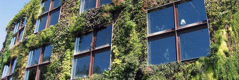 Toitures et murs végétalisés : un nouveau module pré-planté signé Le Prieuré | ETI Construction | Build Green, pour un habitat écologique | Scoop.it