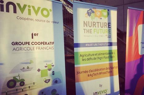Food Tech, startup, potager connect&eacute; : comment InVivo planche sur l&rsquo;alimentation de demain | Foodtech | Scoop.it