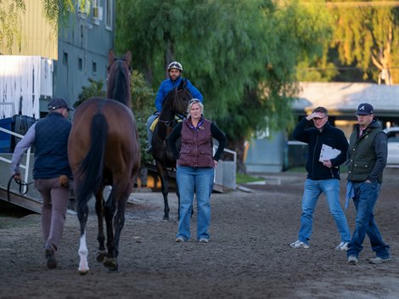 Equine Fatalities Climb in California in 2024 - BloodHorse | Racing News | Scoop.it