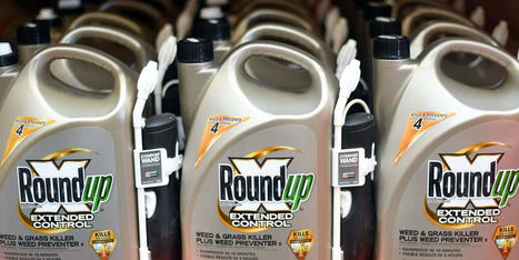 Le glyphosate peut perturber le microbiote &agrave; des doses tr&egrave;s faibles, selon une &eacute;tude internationale | Revue de presse du Centre de doc | Scoop.it
