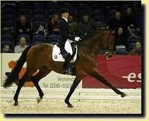 Le mod&egrave;le du cheval de dressage | Cheval et sport | Scoop.it