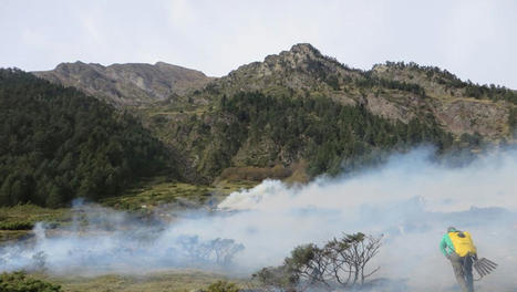 "Le feu pastoral n’est pas un incendie, c’est un feu qui court" : écobuages, une pratique ancestrale très encadrée | Vallées d'Aure & Louron - Pyrénées | Scoop.it