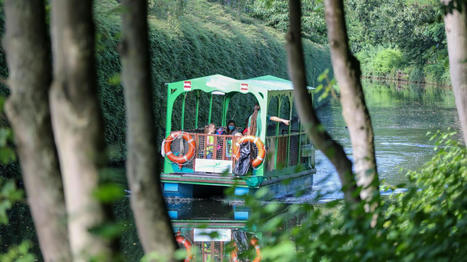 Canal de Roubaix : &agrave; bord de la D&eacute;cid&eacute;e, d&eacute;couvrez la faune et la flore | Nature en ville | Scoop.it