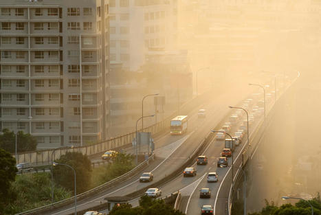 La pollution atmosphérique est-elle un facteur contaminant pour les aliments cultivés en ville ? – | ESPACES VEGETALISES URBAINS | Scoop.it