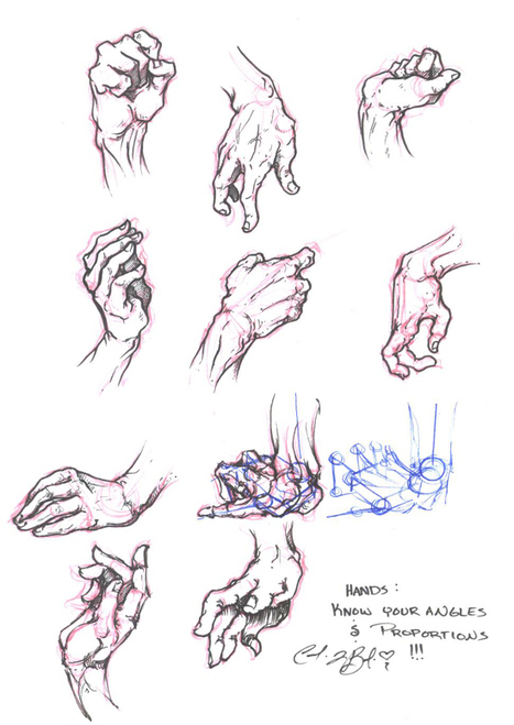 Hand Study: Visual Reference Guide | Drawing References and Resources | Scoop.it