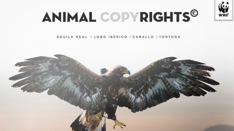 WWF crée un droit d’auteur pour les animaux | Biodiversité | Scoop.it