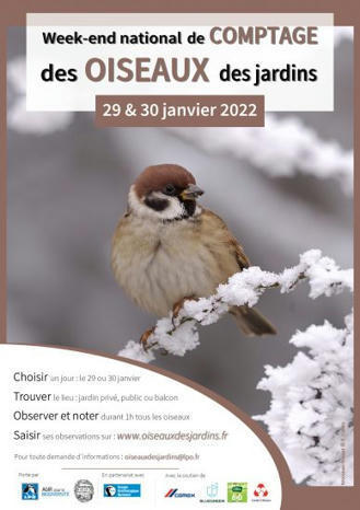 Comptage national des Oiseaux des jardins | Biodiversité | Scoop.it