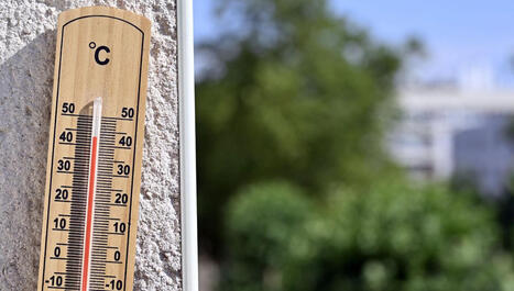 CARTE - Chaleur&nbsp;: retrouvez les records de temp&eacute;rature jamais enregistr&eacute;s dans la r&eacute;gion Grand Est - ICI | Alsace Actu | Scoop.it