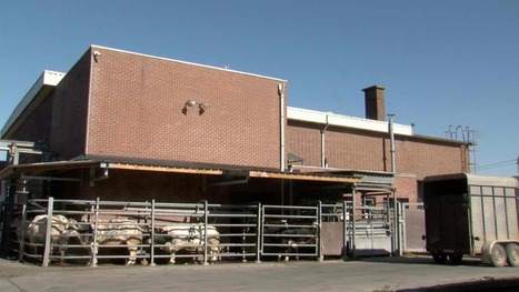 Belgique. L'abattoir communal d'Ath ne connaît pas la crise | La Gazette des abattoirs | Scoop.it
