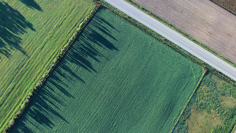 L’imagerie satellite met le spatial et l’IA au service de la filière agricole | Biodiversité | Scoop.it