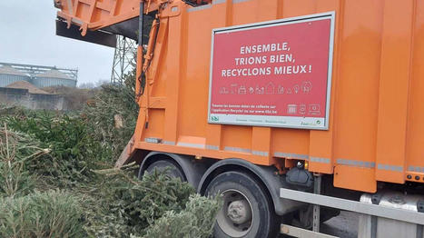 Que deviennent nos sapins de No&euml;l et autres d&eacute;chets verts? - rtbf.be | Ecod&eacute;veloppement territorial | Scoop.it