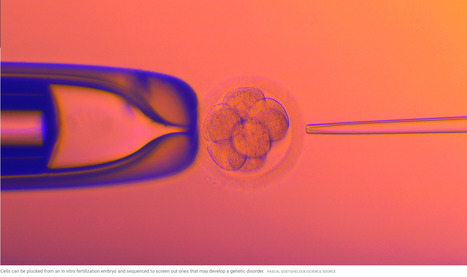 Genetics group slams company for using its data to screen embryos’ genomes: Orchid Health’s new in vitro fertilization embryo test aims to predict future health and mental issues // Science.org | Educational Psychology & Emerging Technologies: Critical Perspectives and Updates | Scoop.it