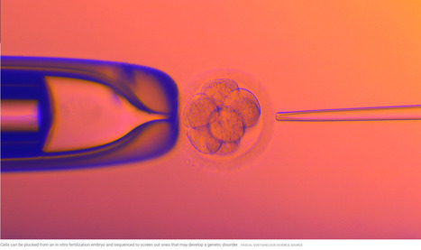 Genetics group slams company for using its data to screen embryos’ genomes: Orchid Health’s new in vitro fertilization embryo test aims to predict future health and mental issues // Science.org | Educational Psychology, AI, & Emerging Technologies: Critical Thinking on Current Trends | Scoop.it