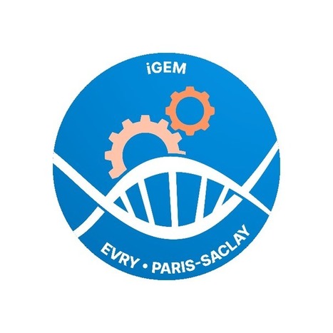iGEM 2020 : développer un outil d'identification du bois de rose basé sur le contenu génétique | Life Sciences Université Paris-Saclay | Scoop.it