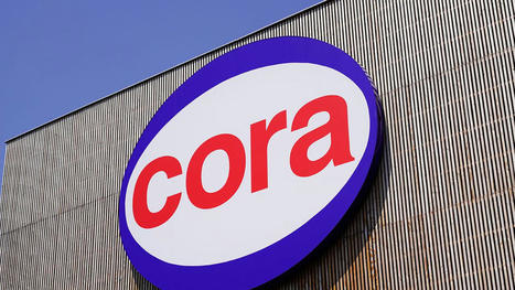 Cora fait un geste fort en faveur des éleveurs bovins | Actualité Bétail | Scoop.it