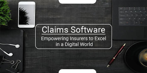 Claims Software: Empowering Insurers to Excel in a Digital World | DataGenix | Scoop.it