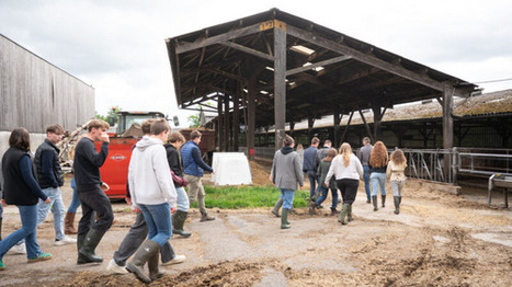 Bachelor Agro STAF : une nouvelle formation pour devenir enseignant dans l&rsquo;enseignement agricole | Enseignement secondaire et sup&eacute;rieur | Scoop.it