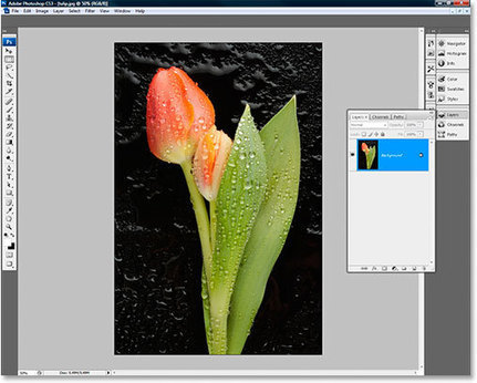 How To Apply A Smart Filter In Photoshop CS3 | Photo Editing Software and Applications | Scoop.it