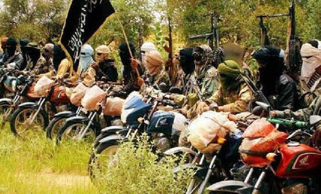 Un groupe terroriste lié à al-Qaïda annonce des "opérations d'envergure" contre Bamako pour bientôt | GUERRE AU MALI - FRENCH MILITARY OPERATIONS IN MALI | Scoop.it