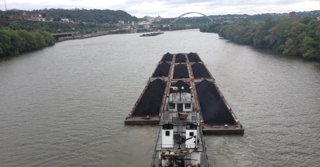 Pittsburgh's Monongahela River is getting cleaner, but pollution remains | Industry 411 - Waste Management | Scoop.it