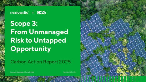 Studie von BCG und EcoVadis: Untätigkeit im Klimaschutz könnte Unternehmen weltweit | Sustainable Procurement News - Deutschland, Österreich, Schweiz | Scoop.it