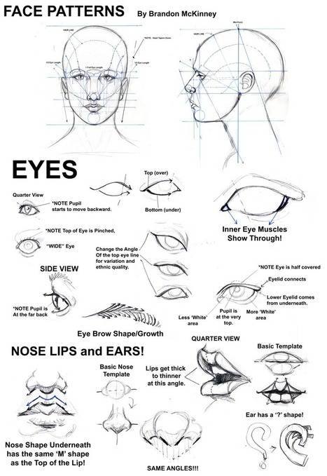  face drawing reference in Drawing References and Resources