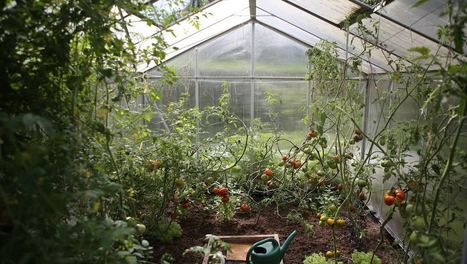 Agriculture urbaine : quel intérêt en France ? - Maddyness - Le Magazine des Startups Françaises | ESPACES VEGETALISES URBAINS | Scoop.it