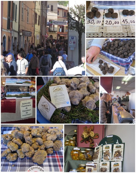 Truffle Fair in Acqualagna | Good Things From Italy - Le Cose Buone d'Italia | Scoop.it