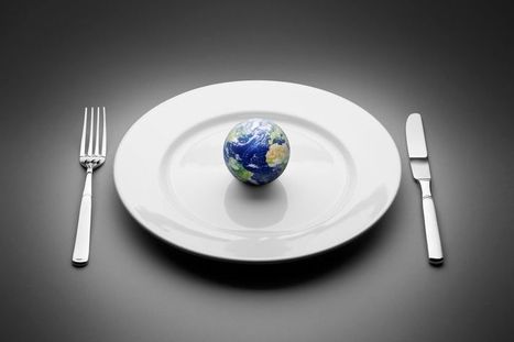 Les Bonnes choses / Culture : "Comment créer un avenir alimentaire durable ?.. | Ce monde à inventer ! | Scoop.it