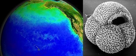 A switch in ocean circulation that helped end the Ice Age | Amazing Science | Scoop.it