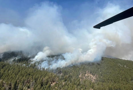 Wildfires Will Burn More Forest in US West as Planet Warms - Bloomberg | Operation Deimos | Scoop.it