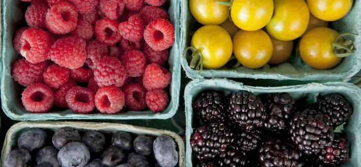 This Neuroscientist Shares 7 Critical Daily Habits to Keep Your Brain Healthy | The Health Report | Scoop.it